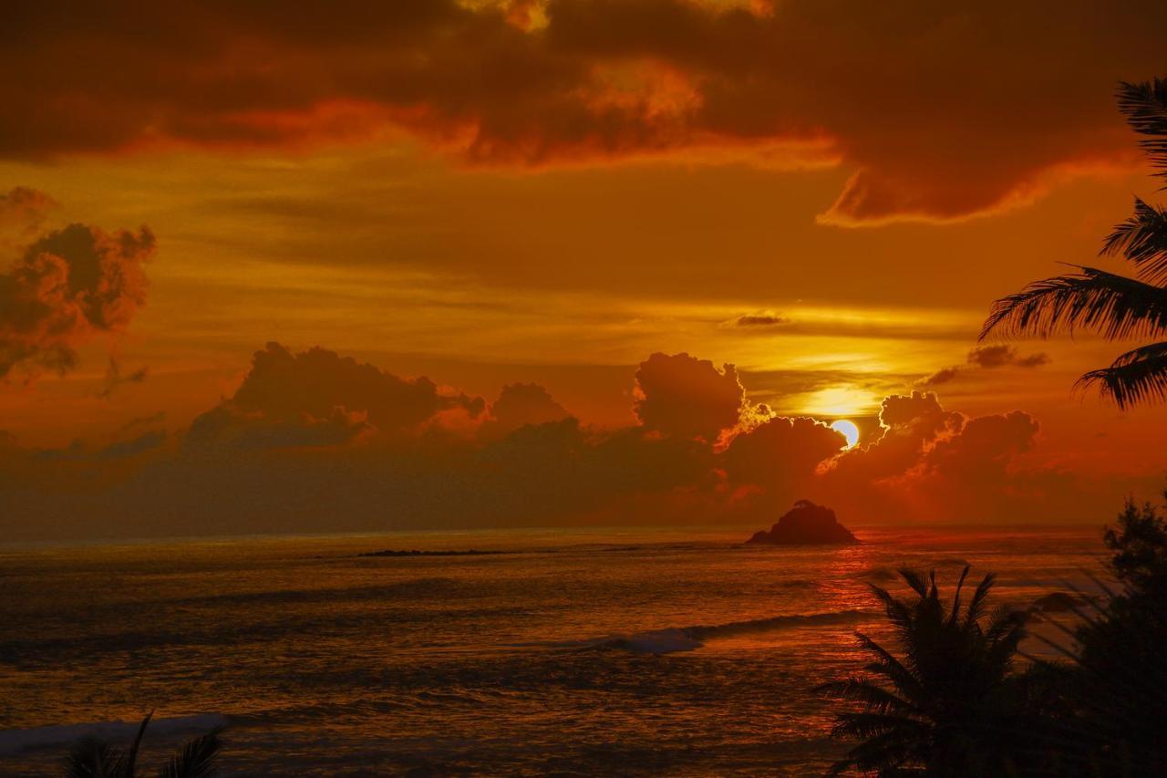 Cozy Cocos Hotel Weligama Ngoại thất bức ảnh